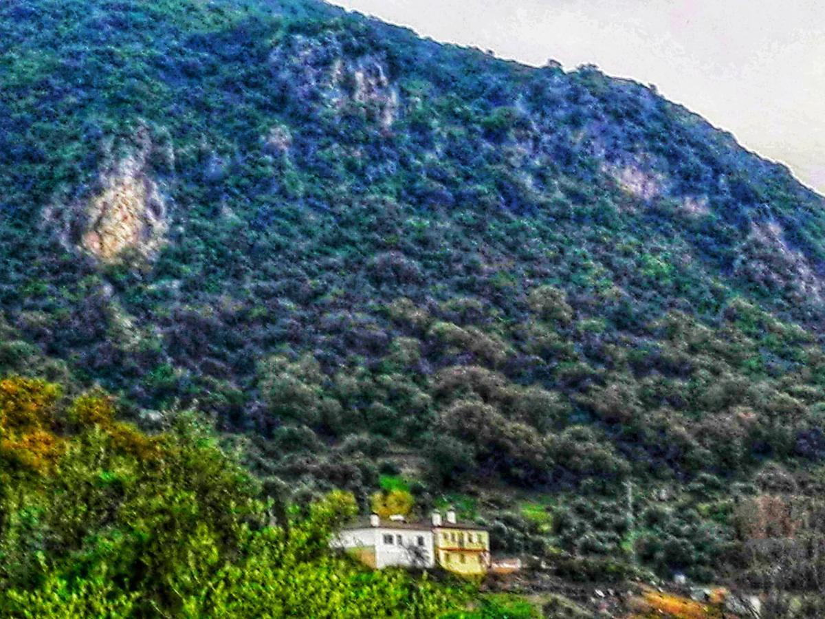 El Antiguo Molino El Bosque Exterior foto